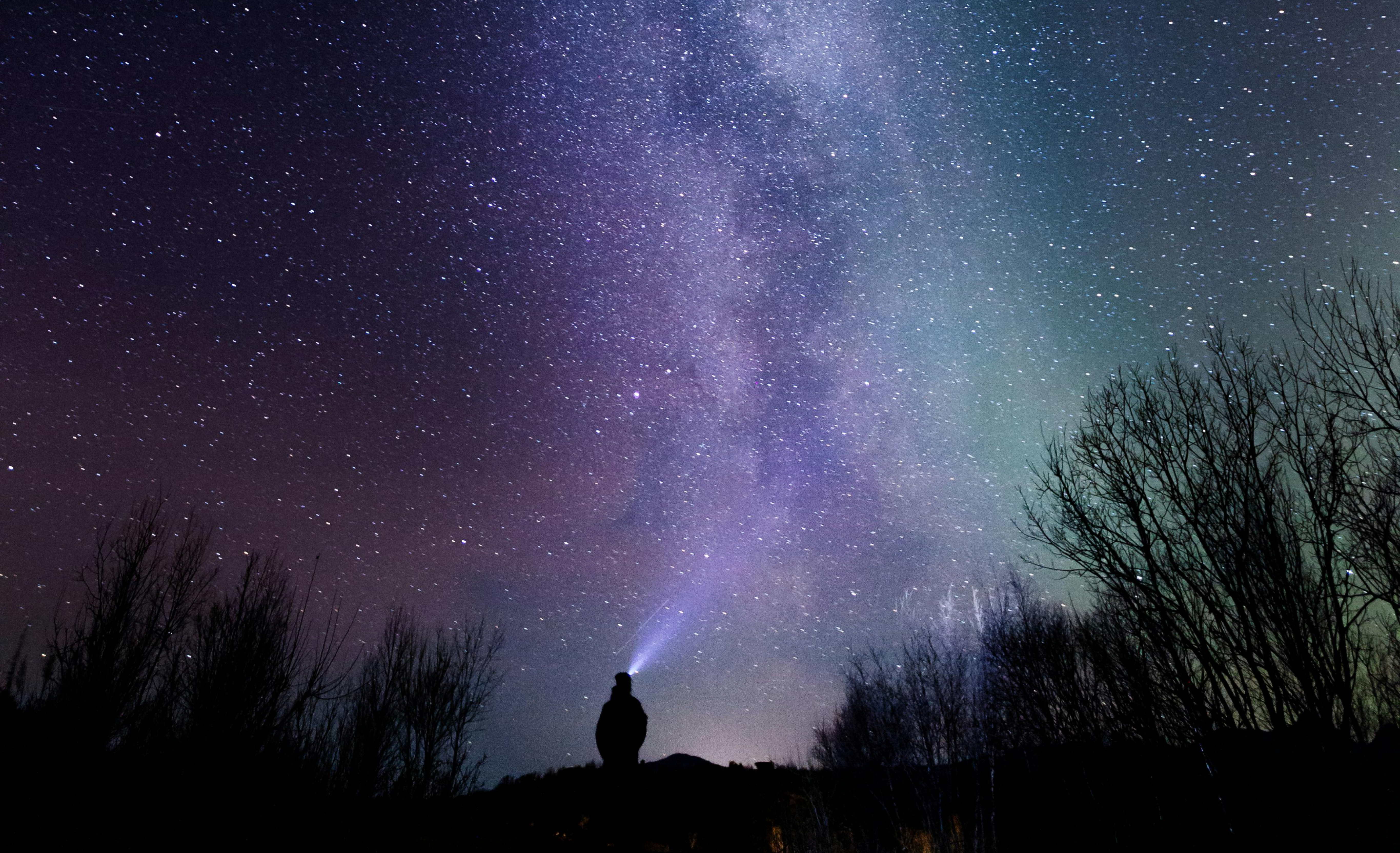 Design Growth System